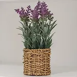 Portucale ! Stylish Campo Ourique Апартаменти