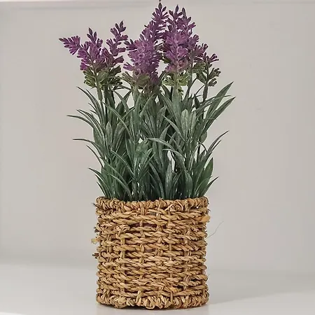 Portucale ! Stylish Campo Ourique Appartamento