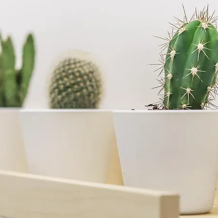 Apartment Portucale ! Stylish Campo Ourique